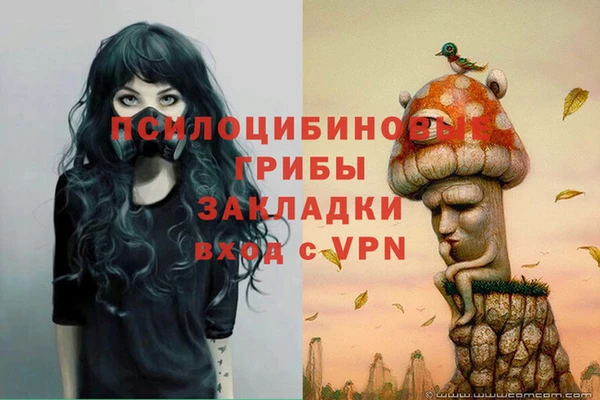 прущий лед Магадан
