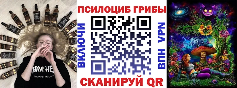 Галлюциногенные грибы Magic Shrooms  где можно купить   KRAKEN вход  Юрьевец 